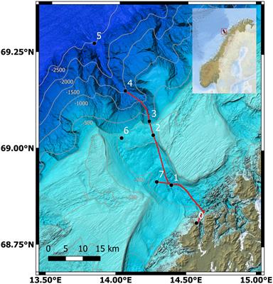 Changes in humpback whale song structure and complexity reveal a rapid evolution on a feeding ground in Northern Norway